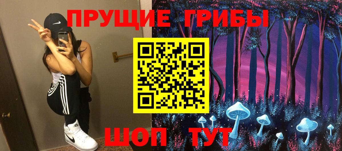 купить   Вход с VPN  Ливны  Псилоцибиновые грибы Cubensis 